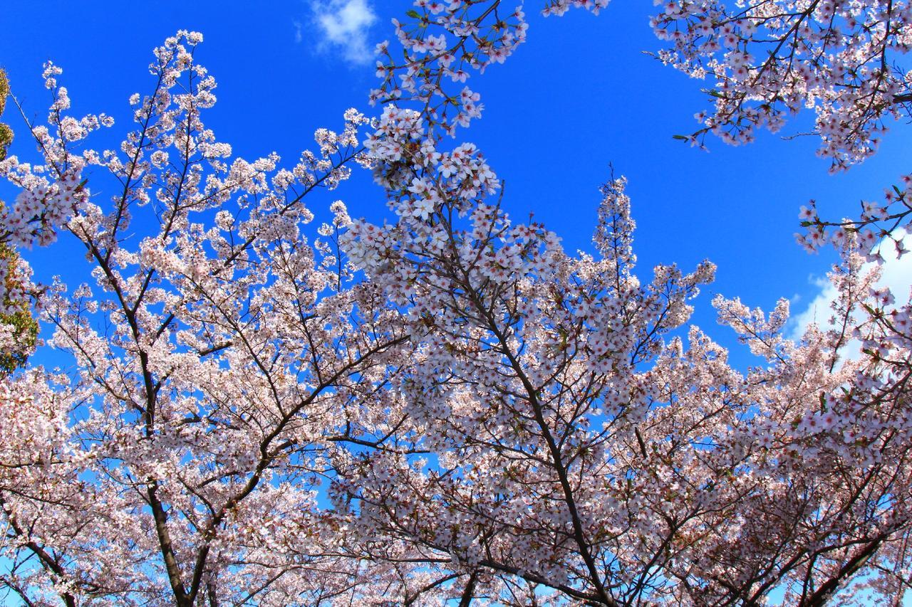Universal Hotel Nishikujo โอซาก้า ภายนอก รูปภาพ
